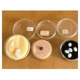 HPT025 Opals, Cameos, Star Saphire (black)