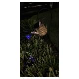 MMF087 Two Metal Watering Can Solar Lights With Stakes New