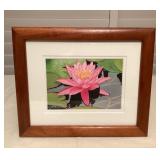 CCS119 Koa Framed Picture Of A Blooming Water Lily Flower