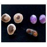 HFF023 Petrified Wood, Amethyst & Opal