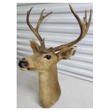 FTH333 - Mounted 9-Point Buck 