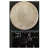 FTH404 - 1896 Morgan Dollar US