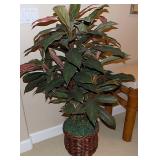KLS026 Artificial Ti House Plant