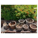 WWW174- Assorted Concrete Planter Pots