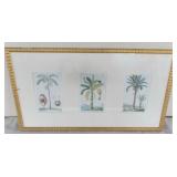 ADC002 Big 42" x 24" Framed Jean-Theodore Descourtilz Print