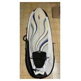 WWW217- 6’6” NSP Epoxy Fish Surfboard wIth Da Kine Bag