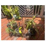 TTT065 Garden Mystery Lot