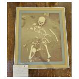 TTT336-Original Photo Taken By Dr. Jack Shaff Of Skeletal Remains
