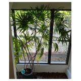 KFT010 Tall Rhapis Palm Plant With Glass Water Globe