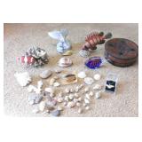 KSCSAV016 Assorted Sea Shells, Table Ornaments & More