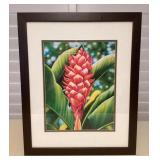 MMB062 Framed Picture Of A Red Torch Ginger Flower
