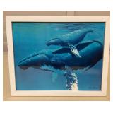 MMB096 Framed Picture Of A Humpback Whale With Her Baby