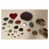 MMB167 Fossils & Rocks