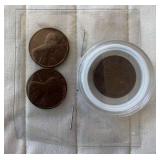 PTH229- Collectible US cents. 1955, 1972 & 1975