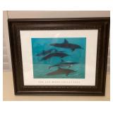 MCS191 Framed Jon Mozo Art Photography Of A Pod Of Dolphins