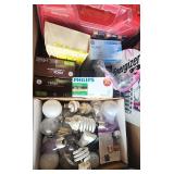 BEE018 - Batteries and Bulbs