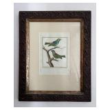 WWT007- Antique Botanical Etching Print On Paper