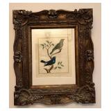 WWT009- Antique Framed Botanical Etching Print On Paper