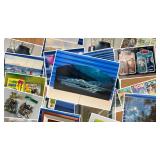 BEAUTIFUL ART IN PARADISE CTBids Online Auction • Bidding Ends 01/30/25 • Pickup 02/01/25