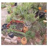 WFS126 Terra Cotta Planter, Cement Bricks & an Orchid