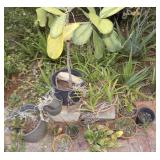 WFS127 Even More Plants for Your Garden