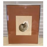 MMS044 Framed “Nautilis II” Shell Lithograph From The Vanguard Studios Signed