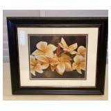 MMS075 Framed Picture Of Yellow Plumeria Flowers 