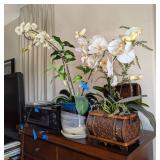 AWT012 - Orchids Floral Arrangements. AWT012 - Orchids Floral Arrangements.