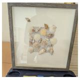 AWT240 - Framed Premium Sea Shells AWT240 - Framed Premium Sea Shells