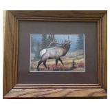 KKT010 - D. Enright Giclée Print of Elk KKT010 - D. Enright Giclée Print of Elk