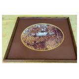 KKT026-Framed picture of an Aspen forest in Colorado in 1989 taken by Julie Wyckoff KKT026-Framed picture of an Aspen forest in Colorado in 1989 taken by Julie Wyckoff