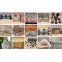 MORE MAKAKILO MEMORIES CTBids Online Auction • Auction Ends 07/31/25 • Pickup 08/02/25 MORE MAKAKILO MEMORIES CTBids Online Auction • Auction Ends 07/31/25 • Pickup 08/02/25