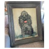 HKM031 - “Master Mickey” Portrait Of A Toy Poodle  HKM031 - “Master Mickey” Portrait Of A Toy Poodle
