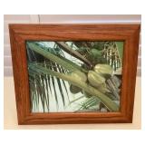 CMS127 Framed Picture Of Coconut Tree
