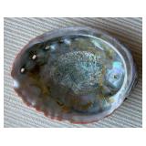 AAA264 - Large Abalone Decorative Shell Bowl