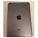 MFS065 iPad