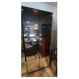 EAT239 - Glass and Mirror Storage Cabinet (1 of 3)