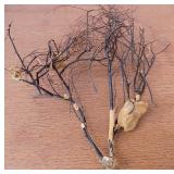 KCT072 Vintage Black Coral Branch #2