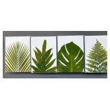 EHE013 Set Of 4 Fern Photography