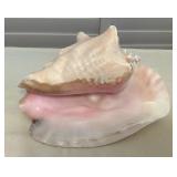MHH026 Large Queen Pink Conch Shell