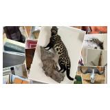 EASTSIDE TREASURES SALE CTBids Online Auction • Bidding Ends 02/26/26 • Pickup 02/28/26 