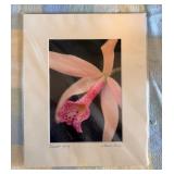 EBE023 - “Sunset Glory” by Laura Fowler 