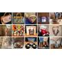 EWA BEACH ESTATE CTBids Online Auction • Bidding Ends 03/05/26 • Pickup 03/07/26