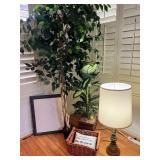 PHS019 Decorative Plants And Living Room Items 