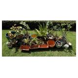PHS059 Mystery Lot Of Pots And Plants 