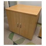 WGG017 2-Door Storage Cabinet 