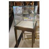 WGG118 Glass Display Case