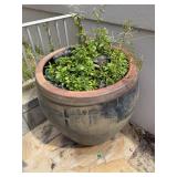 WGG205 Very Large Ceramic Plant Pot