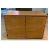 WGG291 Wooden Cabinet