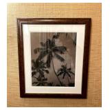 WGG306 Clouds & Palm Tree Photograph In Wood Frame